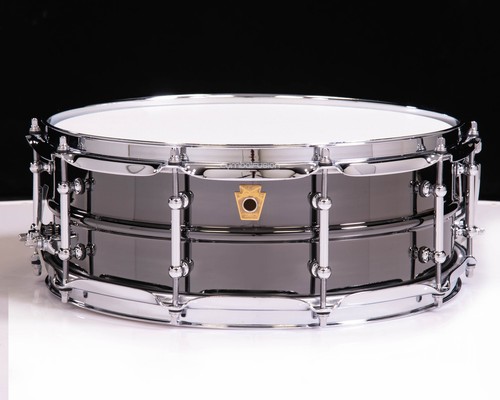 Ludwig black beauty - beauty, 5x14