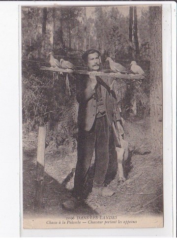 Dans les landes - :, chasse