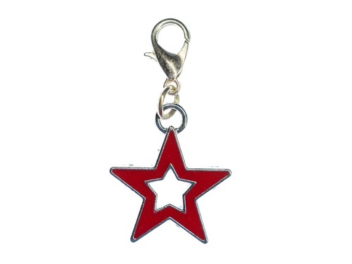 Pendentif etoile charm - pendentif,