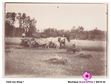 AGRICULTURE