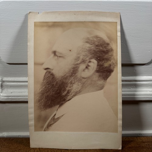 Photo albumine contrecollée