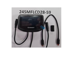 ECRAN Giant ROAD RideControl