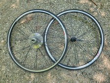Bontrager 24-Bladed Spoke
