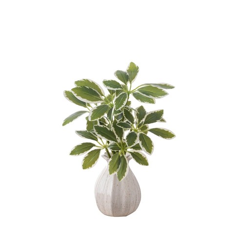 Fausse plante décoration