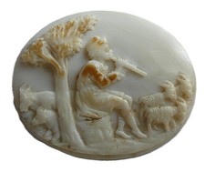 19è CAMEE COQUILLE. 19TH C