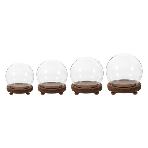 Terrarium vitrine verre - vitrine,