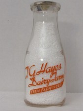 TRPP Milk Bottle T G Hayes Dairy Farm Florence MA HAMPSHIRE COUNTY FAMILY DINING