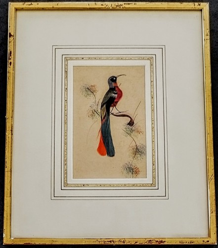 Tableau oiseau paradis - tableau, de