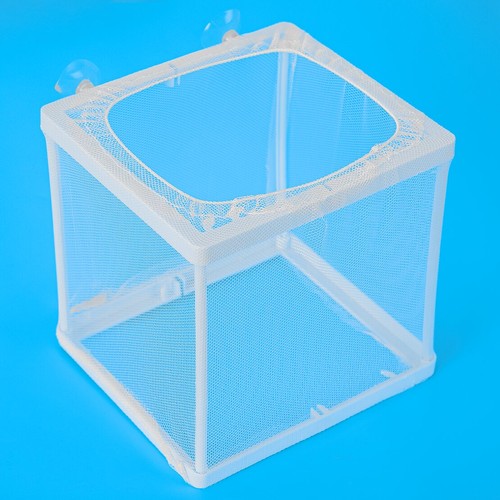 Aquarium fish tank guppy - fish,