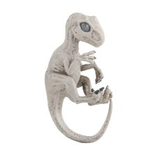 Velociraptor Dinosaur Embryo