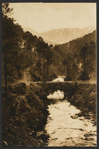 Avila sierra gredos - avila.,