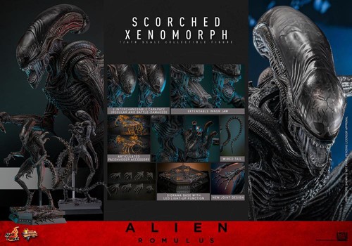 Hot toys alien - alien, romulus