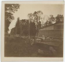 Scierie à situer. Travail du bois. Tirage circa 1900-10.