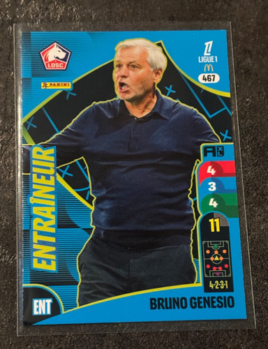 Panini adrenalyn ligue1 - adrenalyn,