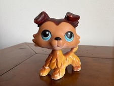 Petshop colley 58 bis de collection de 2007