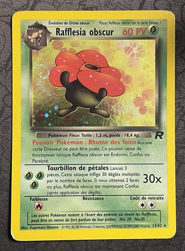 Rafflesia obscur holo - obscur,