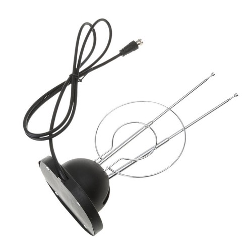 Oreille lapin intérieure - oreille,
