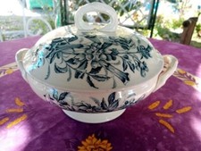 Soupière TF Badonviller Modèle Jasmin de Virginie Décor Fleurs et Papillons 26cm