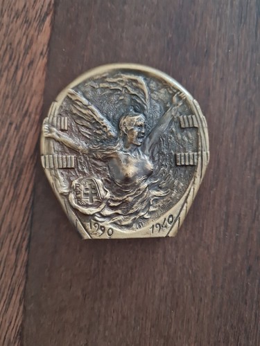Médaille bronze charles de - en,