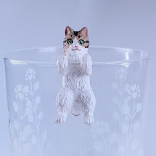 Chat écaille de tortue -