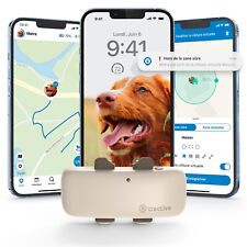 Tractive DOG 4 | Collier GPS