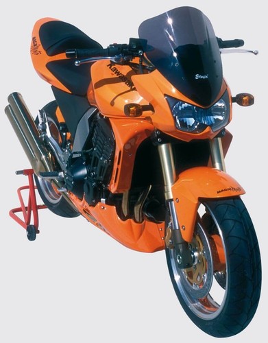 Kawasaki z1000 saute - kawasaki, z1000-03/06-saute
