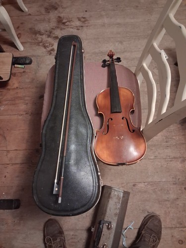 Antonius stradivarius - antonius,