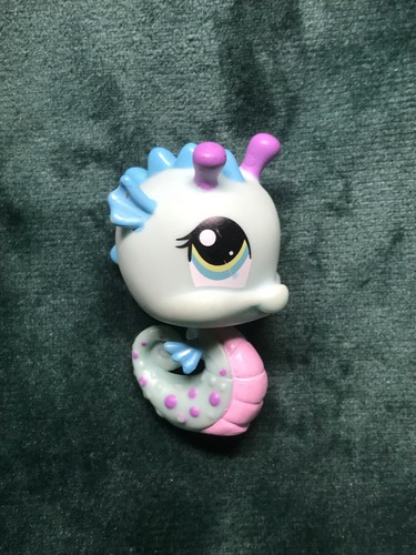 Petshop hippocampe - 💖petshop,