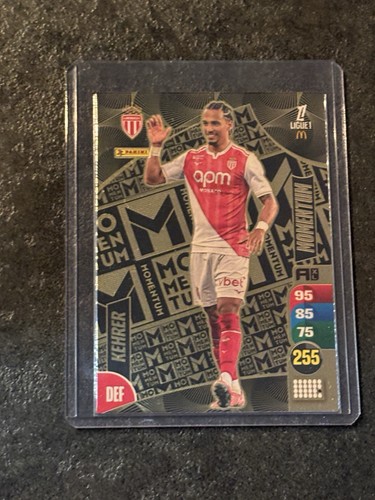 Panini adrenalyn ligue1 - panini, xl