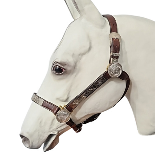 Circle western silver - western, show