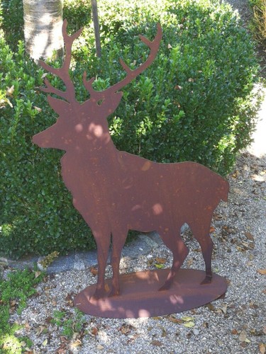 Inoxydable noble cerf - , chasseur