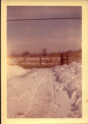Vintage found photograph - vintage, 1960