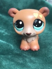 ✨✨Petshop Ours trotteur