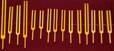 Lot de 15 diapasons organe