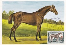 Carte postale postcard 1er