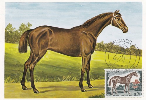 Carte postale postcard 1er