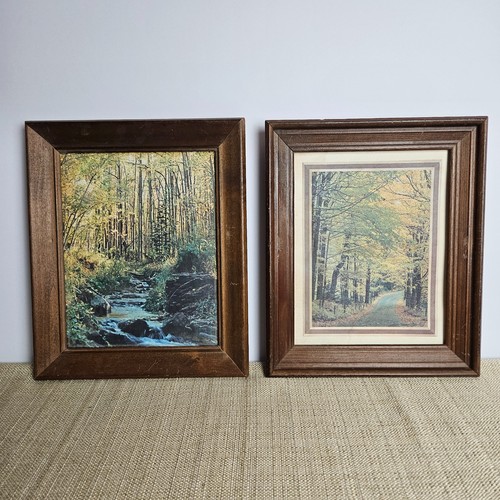 Vintage framed forest - vintage,
