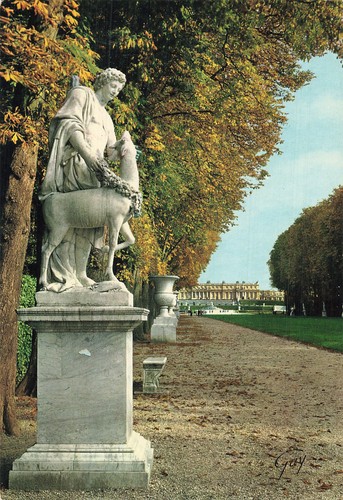 Versailles tapis vert - versailles,