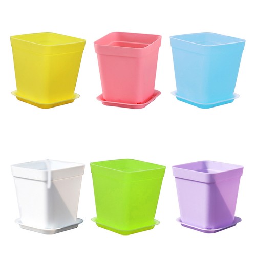 12pcs plastique pot de - pot,