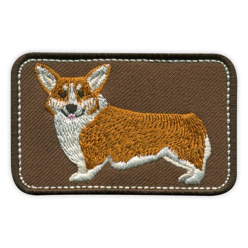Corgi gallois cute - -,