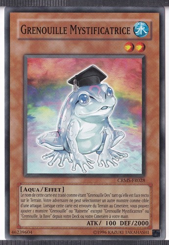 Grenouille mystificatrice - grenouille,