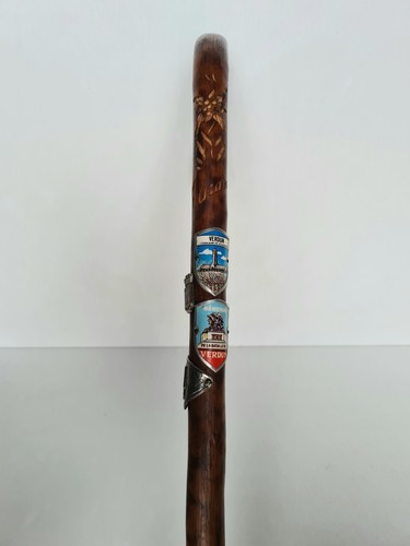 Canne marche alpine bois - marche, en