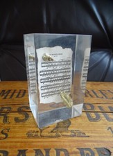 inclusion résine presse