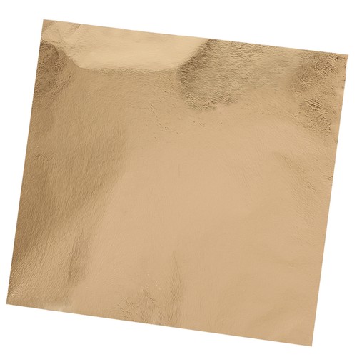 500x feuilles d argent - 500x,