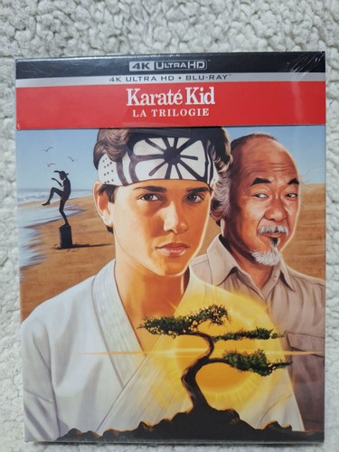 Trilogie karaté kid coffret - karaté,