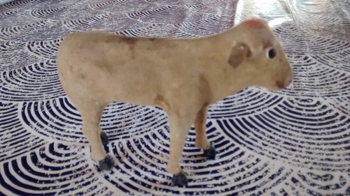 Très ancien boeuf - ,