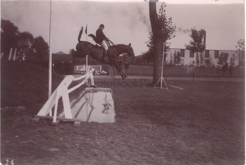 Saut obstacle cheval - saut, d'obstacle