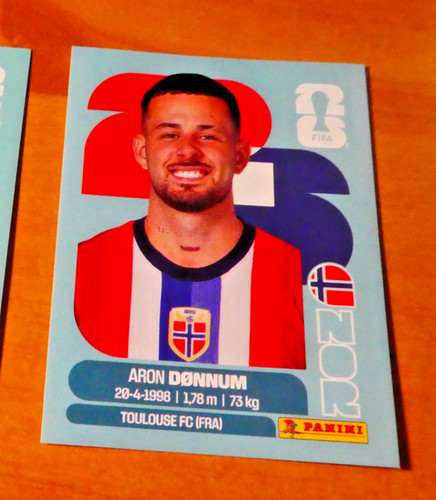 Panini football fifa - fifa, cup