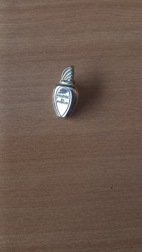 Pin amarige de givenchy - amarige,