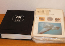 CLASSEUR +34 fiche piece